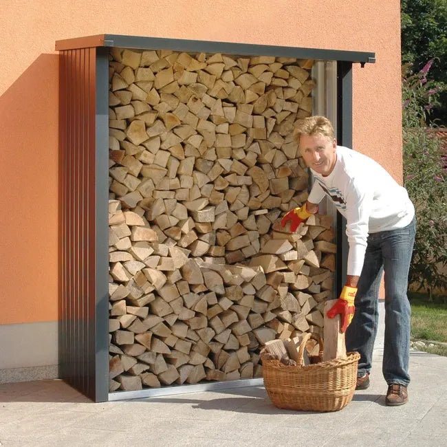 Abri bûches Biohort WoodStock 150 Gris quartz métallique